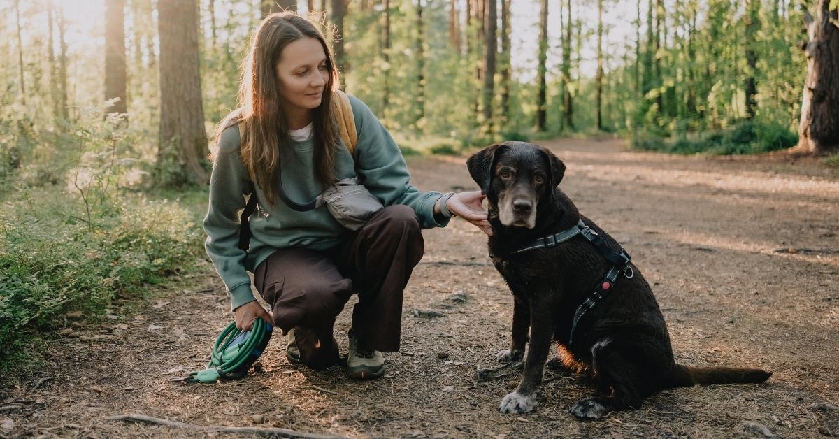 A person crouches on a forest path, gently holding a black-and-tan dog