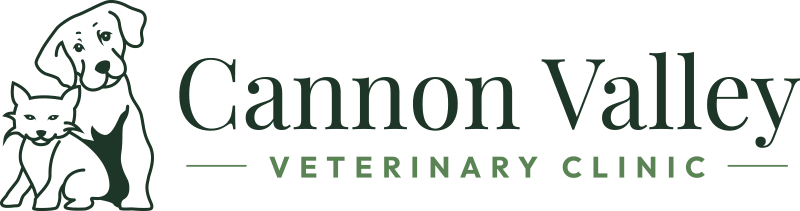 Cannon Valley Veterinary Clinic logo